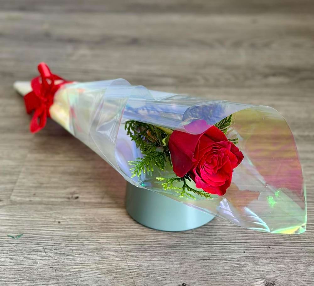 Single Red Rose 