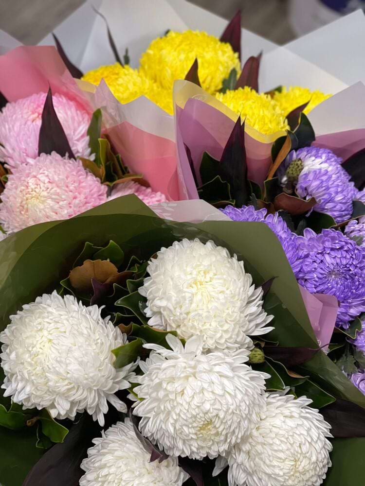 ChrysantheMUM 
