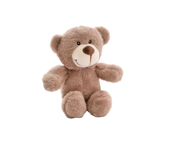 Small Brown Teddy 