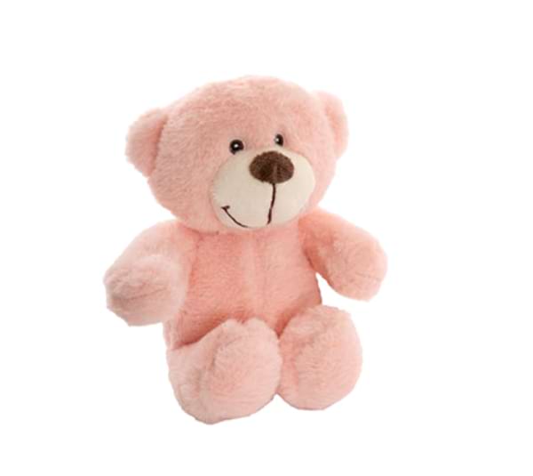 Small Pink Teddy