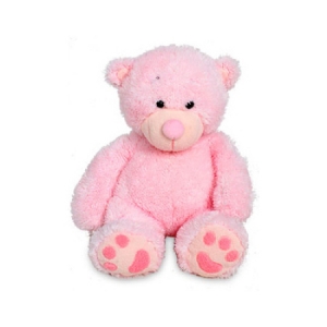 Pink Teddy (20cm)