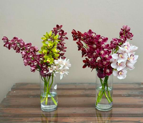 Orchid Luxe